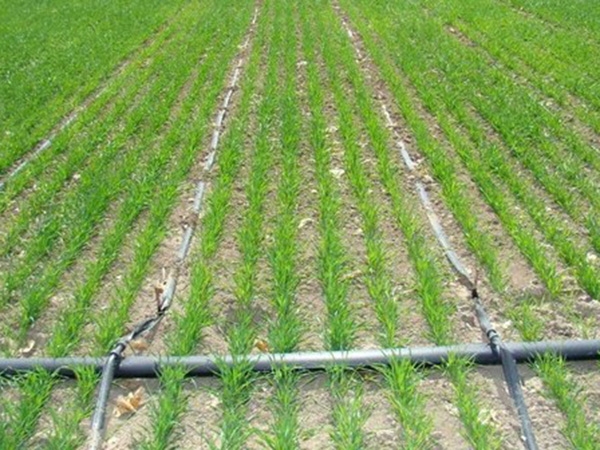 PE农田灌溉管