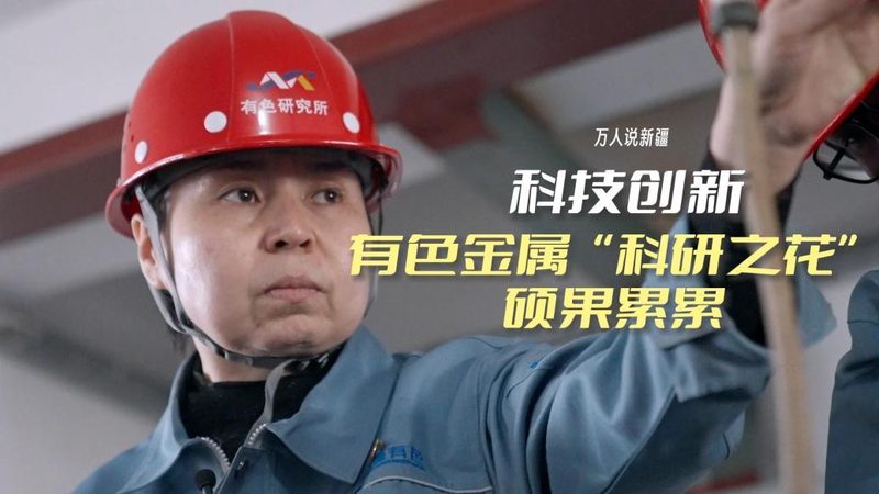 企业级搜索工具：助力行业信息管理的智能利器**